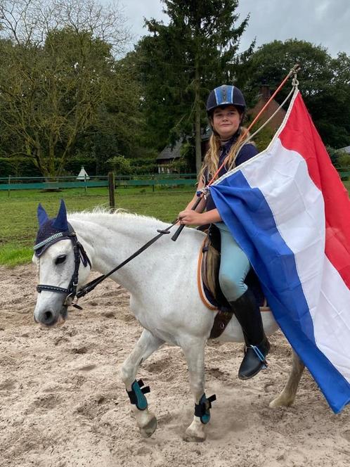 Lieve welsh-B pony, Dieren en Toebehoren, Pony's, Merrie, B, B pony (1.17m tot 1.27m), Recreatiepony, 11 jaar of ouder, Met stamboom