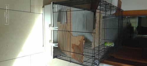 Kooi voor kleine knaagdieren, Animaux & Accessoires, Rongeurs & Lapins | Cages & Clapiers, Comme neuf, Cage, Moins de 60 cm, 75 à 110 cm