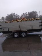 brandhout, Enlèvement ou Envoi, Neuf