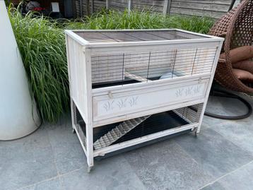 Hok konijn-cavia beschikbaar voor biedingen