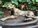 schitterend bronzen beeld luipaard panter cheetah, Antiek en Kunst, Ophalen of Verzenden