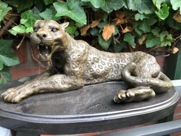 schitterend bronzen beeld luipaard panter cheetah  disponible aux enchères