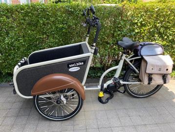 TOP bakfiets SOCI BIKE te koop beschikbaar voor biedingen