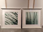 Set van 2 grote ingekaderde natuur kunstfoto's – 7272 cm, Antiek en Kunst, Ophalen