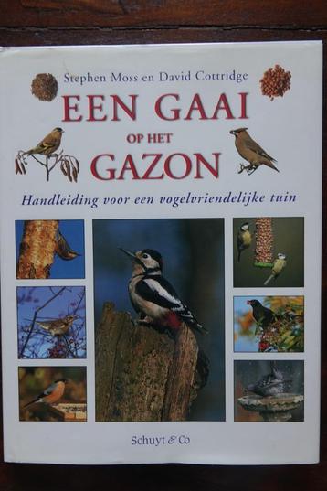 Een gaai op het gazon - creëer een vogelvriendelijke tuin beschikbaar voor biedingen