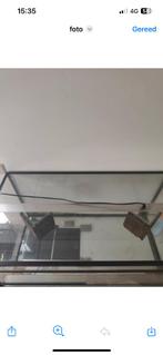 Terrarium, Dieren en Toebehoren, Reptielen en Amfibieën | Toebehoren, Ophalen, Zo goed als nieuw, Terrarium of Paludarium