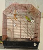 Koppel parkieten met kooi, Dieren en Toebehoren