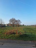 Terrain a batir, Immo, Gronden en Bouwgronden, Crisnee, 1000 tot 1500 m²