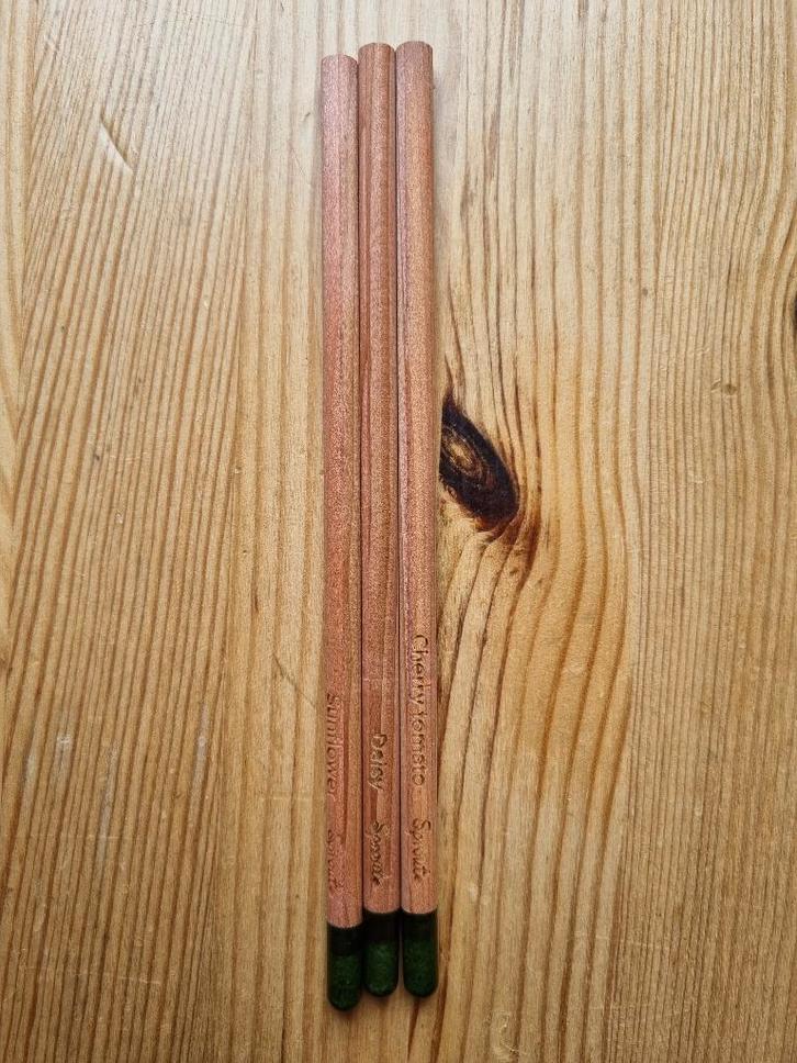 3 groeipotloden sprout, Jardin & Terrasse, Bulbes & Semences, Graine, Printemps, Enlèvement ou Envoi