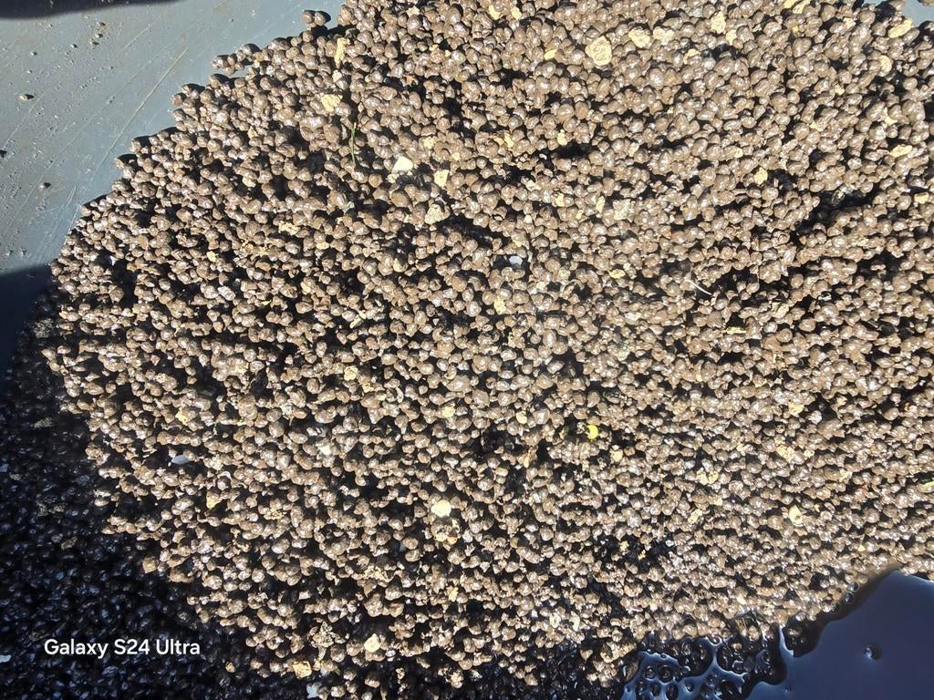 Aquarium zand Colombo Flora Base Pro 10L, Ophalen of Verzenden