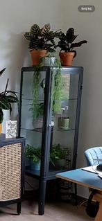 IKEA FABRIKÖR vitrinekast (donkergrijs), 25 à 50 cm, Verre, Comme neuf, Enlèvement