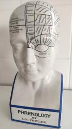 Beeld Frenologie, Ophalen of Verzenden, Zo goed als nieuw