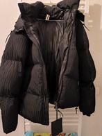 Doudoune Boss Neuf Aucun Défaut Aucune Tâche Taille L, Enlèvement ou Envoi, Neuf, Boss