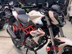 Benelli BN 125 [Fin.0%] [Promo], Motos, Scooter, Entreprise, 1 cylindre, 125 cm³