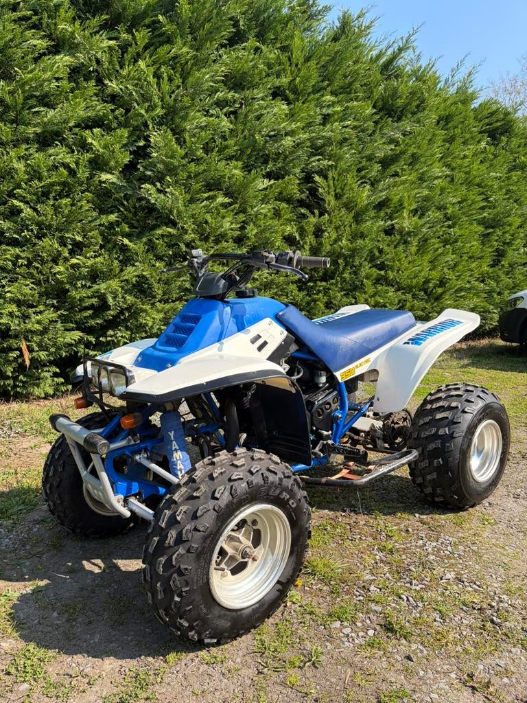 Yamaha Warrior YFM 350 Pret a être immatriculé, Motos, Pièces | Yamaha, Utilisé, Enlèvement