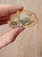 Zeer mooi stukje Amerikaans versteend hout, Verzamelen, Ophalen of Verzenden, Fossiel