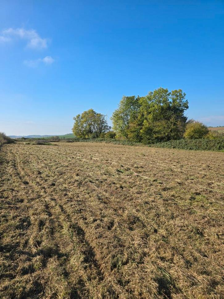 Terrain à bâtir de 4752m2, Immo, Gronden en Bouwgronden, 1500 m² of meer, Verkoop zonder makelaar