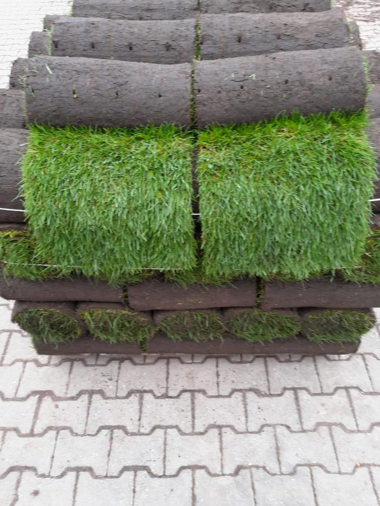 Graszoden, Tuin en Terras, Gras en Kunstgras, Ophalen