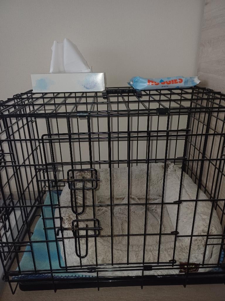 Bench hond, Enlèvement, Comme neuf