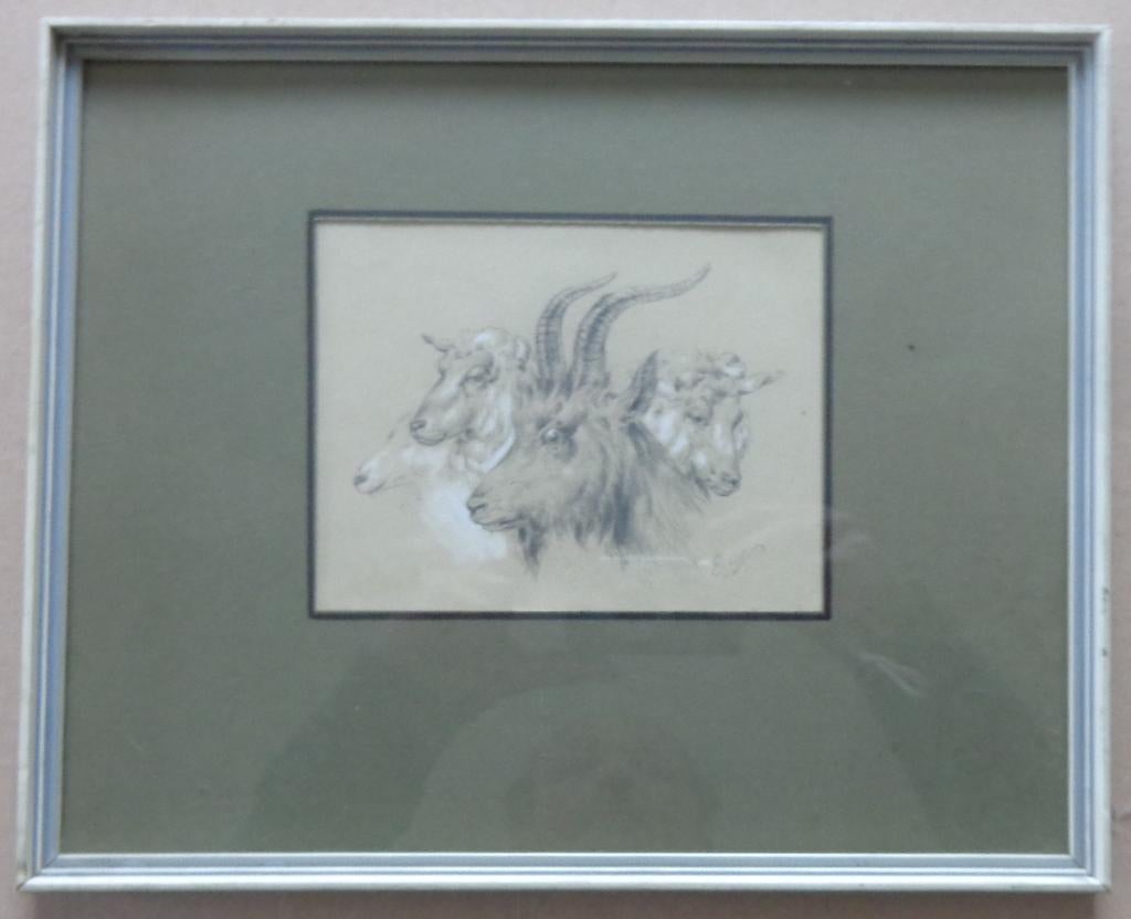 EUGENE VERBOECKHOVEN / GEITEN / ORIGINEEL / 25x31cm / KADER, Ophalen of Verzenden