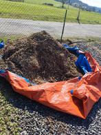 Copeau de bois à donner, Enlèvement