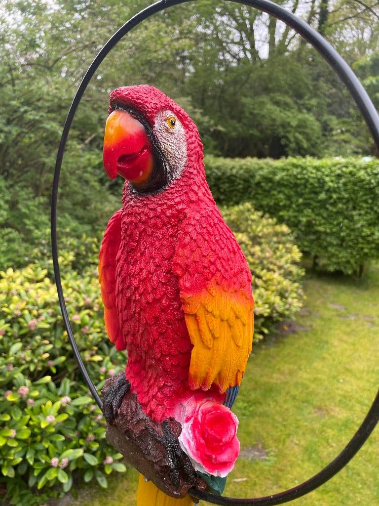 Beeld papegaai Rood tuin, vijver, balkon 70cm, Ophalen, Nieuw, Kunststof, Dierenbeeld