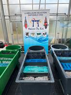 Filtre de bassin, Jardin & Terrasse, Étangs, Enlèvement, Comme neuf