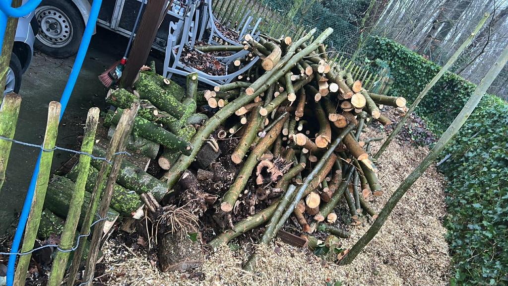 Brandhout wilgen takken, Tuin en Terras, Brandhout, Ophalen, Takken
