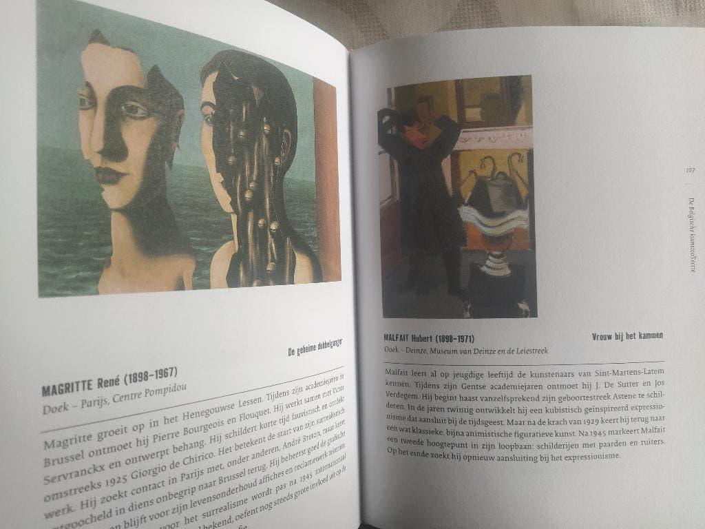 boek: de Belgische kunstcollectie, Enlèvement ou Envoi, Comme neuf, Peinture et dessin