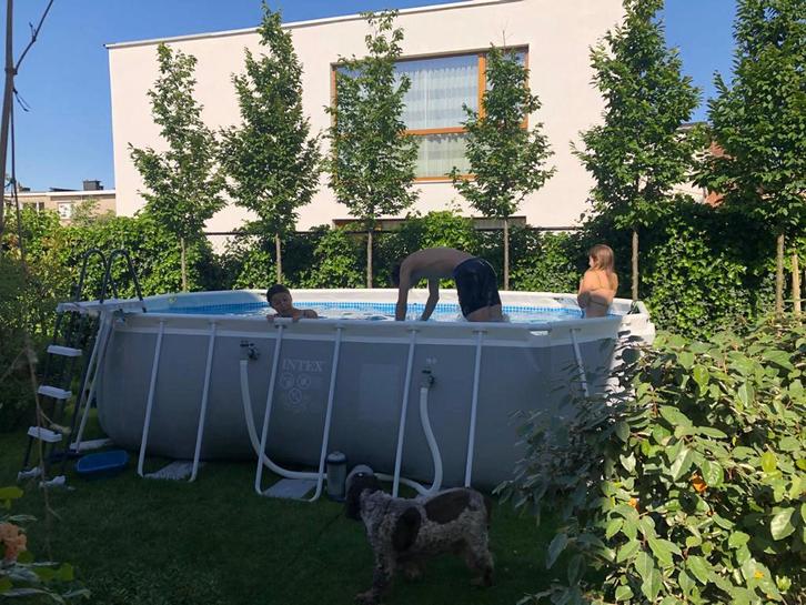 zwembad intex 270x500 met pomp en ladder, Tuin en Terras, Zwembaden, Gebruikt, Opzetzwembad, 120 cm of meer, 400 cm of meer, 200 tot 300 cm