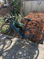 Vélo de route Focus pour femmes, Enlèvement, Carbone, Femmes, Autres marques