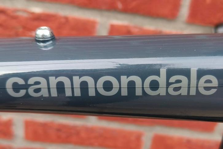 Vélo Gravel Topstone 1 de Cannondale, grand format, ZGAN, GR, Vélos & Vélomoteurs, Vélos | Vélos de course, Carbone, Enlèvement