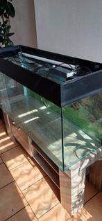 Aquarium, Animaux & Accessoires, Poissons | Aquariums & Accessoires, Enlèvement, Utilisé, Aquarium vide