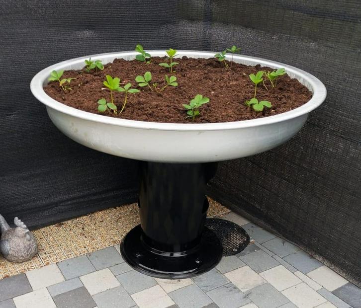 planten - kruiden -bloemen bak, Tuin en Terras, Bloembakken en Plantenbakken, Zo goed als nieuw, Overige materialen, Tuin, 60 cm of meer