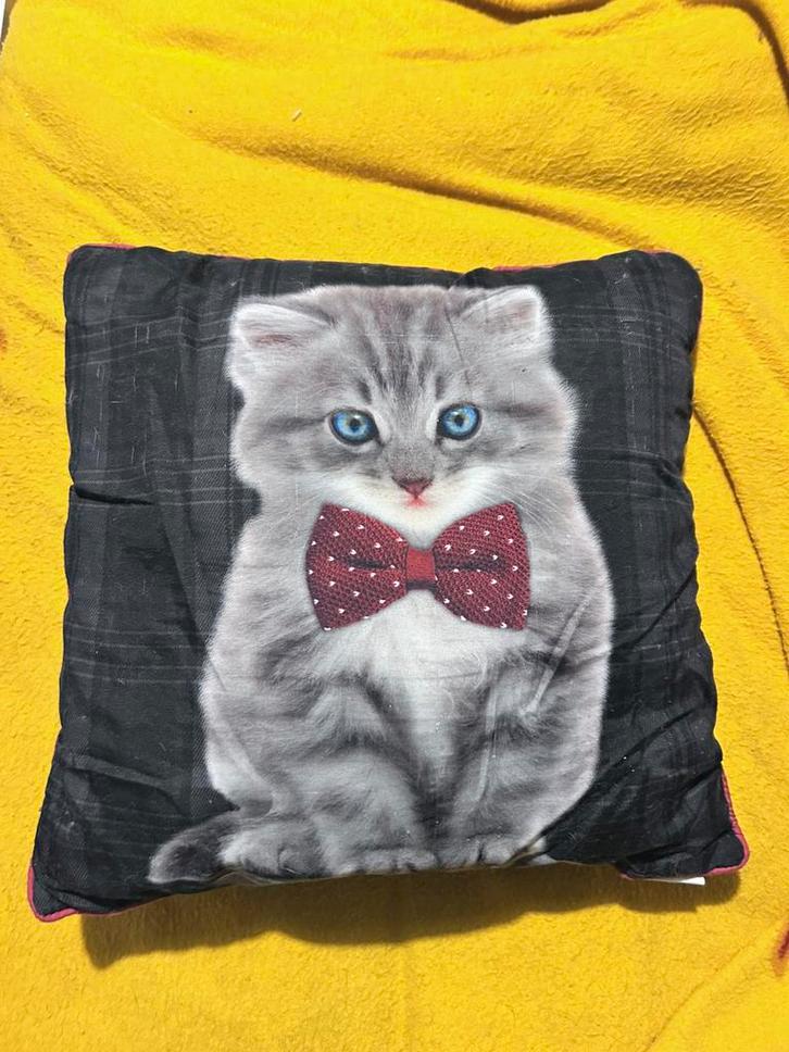 Coussin chat, Huis en Inrichting, Woonaccessoires | Kussens, Gebruikt, Rood, Ophalen of Verzenden