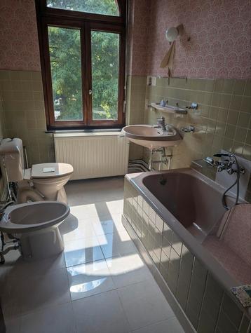 Retro vintage badkamer beschikbaar voor biedingen