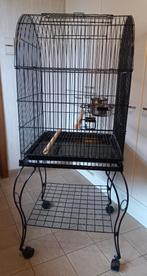 vogelkooi, Dieren en Toebehoren, Ophalen