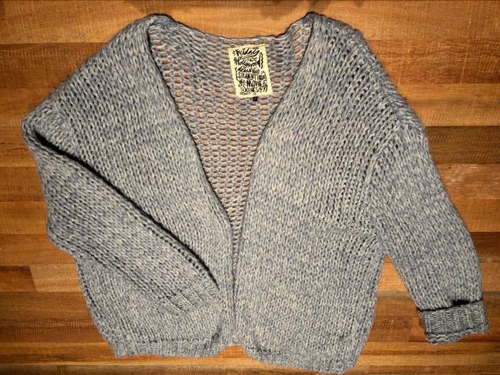 Mooie zacht willen bernadette van CKS maat M/L, Kleding | Dames, Truien en Vesten, Zo goed als nieuw, Maat 38/40 (M), Blauw, Ophalen of Verzenden