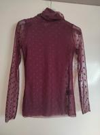 Mesh top met kraag bordeaux paars kleur met bolletjes small, Kleding | Dames, Ophalen, Paars, Zo goed als nieuw, Lange mouw