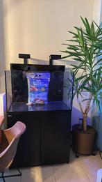 Red Sea max 260, Dieren en Toebehoren, Vissen | Aquaria en Toebehoren, Ophalen, Zo goed als nieuw