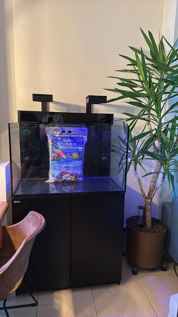 Red Sea max 260, Dieren en Toebehoren, Vissen | Aquaria en Toebehoren, Zo goed als nieuw, Ophalen