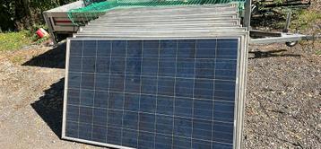 Panneaux solaires Renesola jc 230 M 24/bd beschikbaar voor biedingen