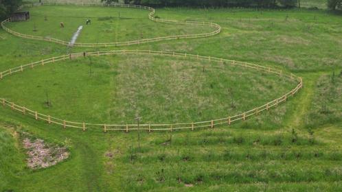 weide te huur voor schapen, ... (geen paarden), Dieren en Toebehoren, Stalling en Weidegang
