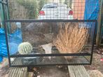 Terrarium/reptielen, Dieren en Toebehoren, Ophalen, Zo goed als nieuw, Terrarium of Paludarium
