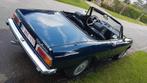 Alfa romeo spider coda tronca 1979, Particulier, Te koop, Alfa Romeo