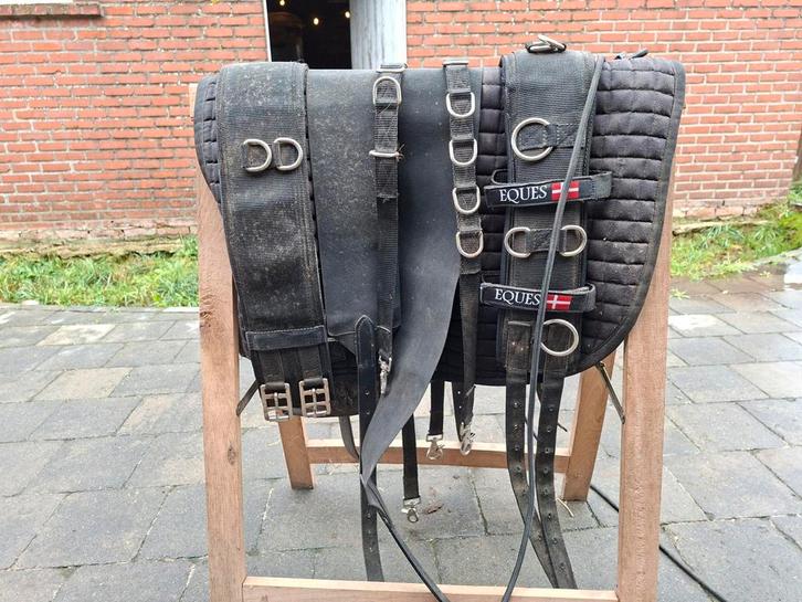 Te koop diverse spullen voor IJslandse paarden, Animaux & Accessoires, Chevaux & Poneys | Brides & Harnachement, Utilisé, Enlèvement