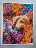 Afgewerkte diamond painting 'Slapende pup', Ophalen