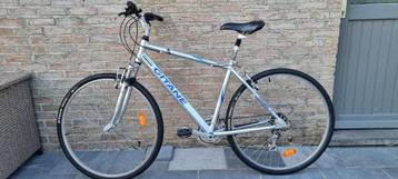 Vélo VTC homme