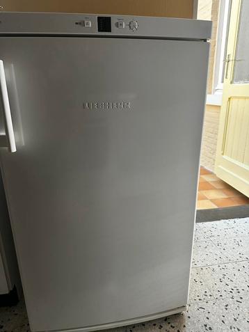 Diepvries Liebher, Elektronische apparatuur, Vriezers en Diepvrieskisten, Ophalen, Zo goed als nieuw