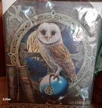 Canvas Owl, Enlèvement, Neuf